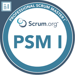 Professional Scrum Master (PSM)